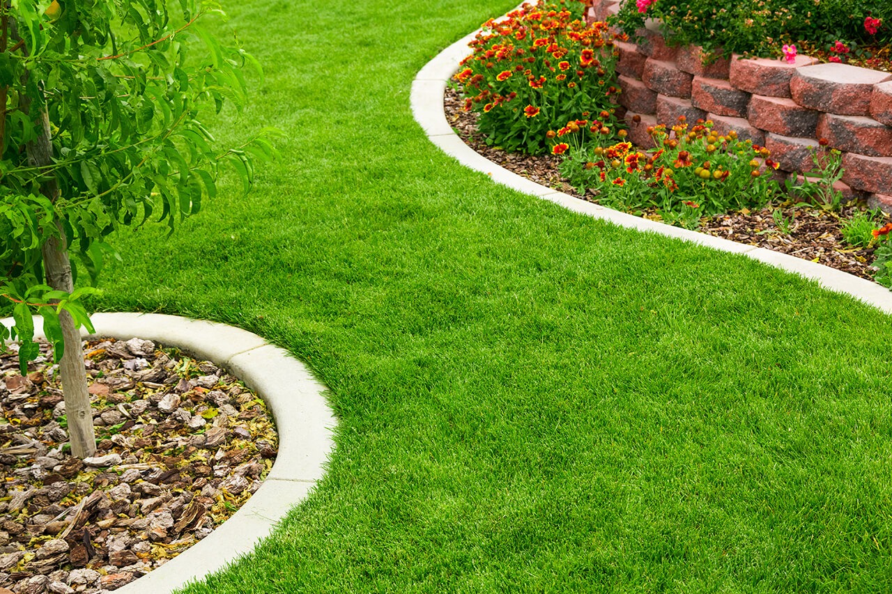 Artificial Grass Fast Installation Costs Phoenix 