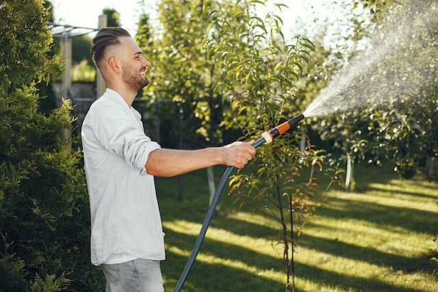 Artificial Grass Fast Installation Costs Phoenix 